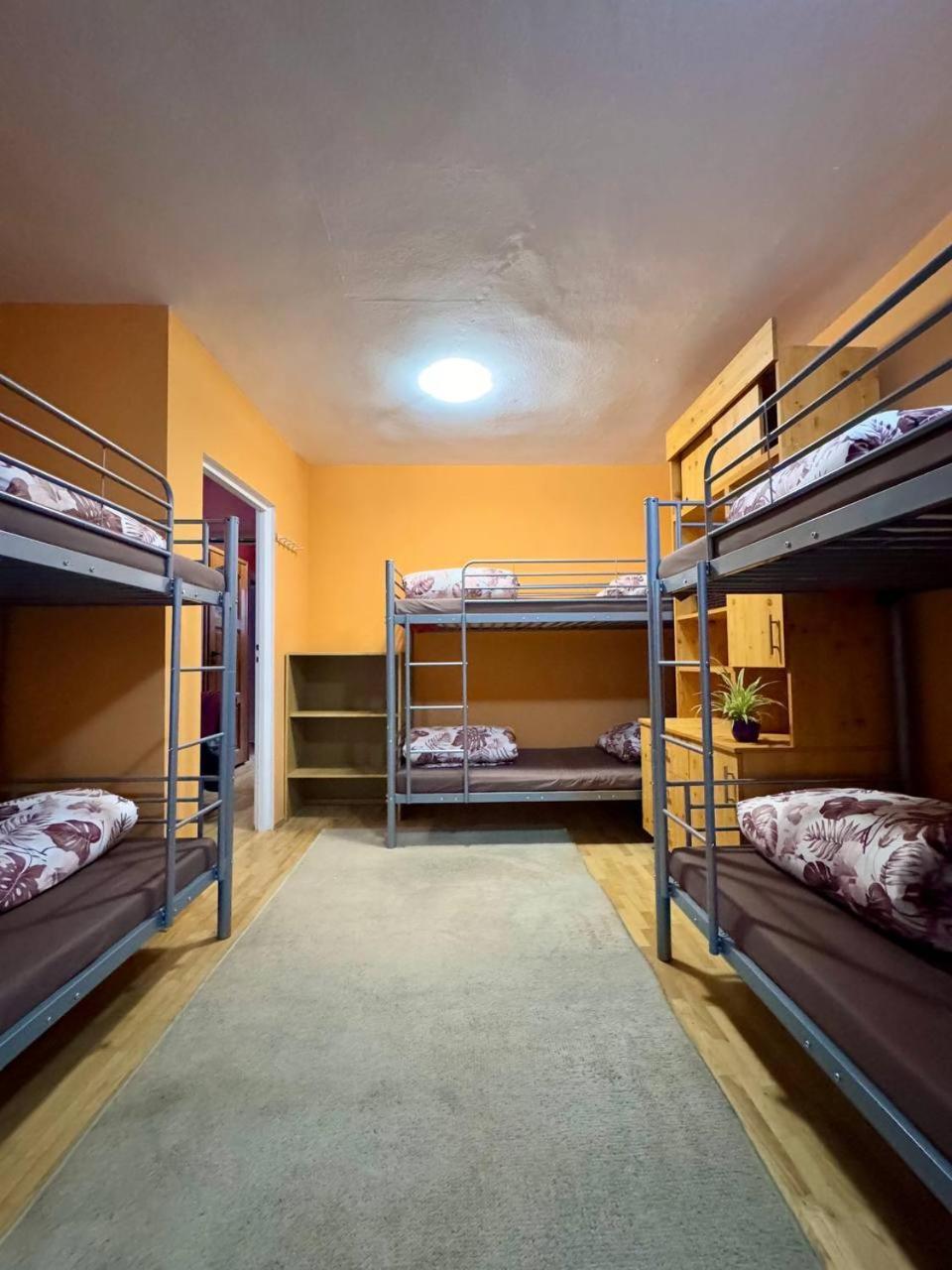Vector Home Warszawa Eksteriør billede